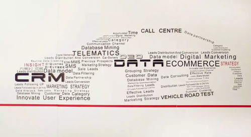 革新圖進 商務咨詢公司摘桂神龍雙品牌電商及crm項目