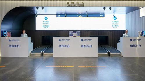 重磅！8家航空公司入駐蘇州，航線航班成全國之最，商務(wù)咨詢迎來新機(jī)遇